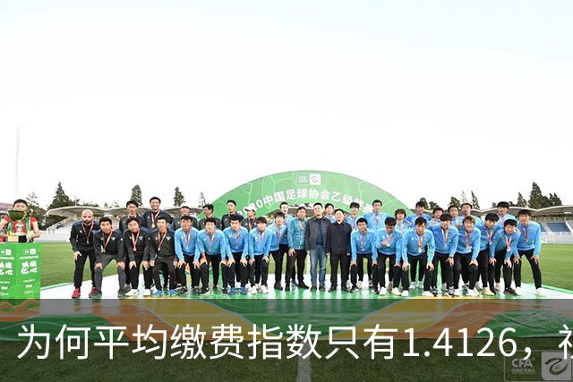为何平均缴费指数只有1.4126，视同缴费指数却高达2.9753？