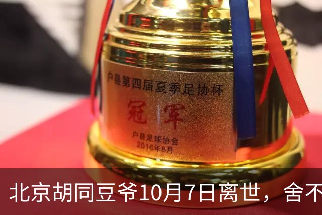 北京胡同豆爷10月7日离世，舍不得花钱硬扛小病留给世人一声叹息