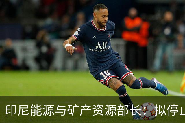 印尼能源与矿产资源部长：拟停止向不尊重印尼的国家供能