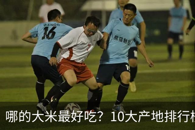 哪的大米最好吃？10大产地排行榜：五常第1，但“最健康”的答案不在产地，在米袋上
