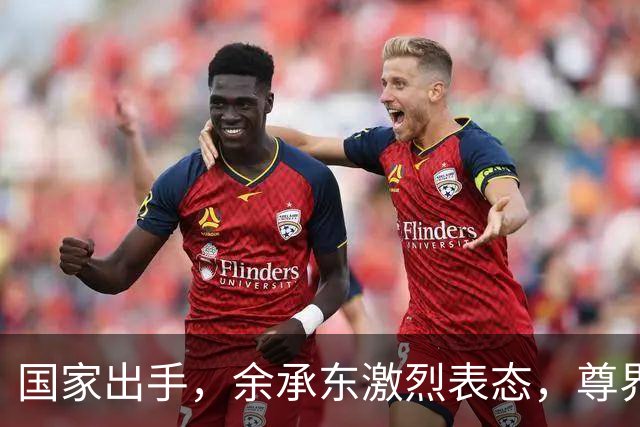 国家出手，余承东激烈表态，尊界这次真被"冤惨"了？