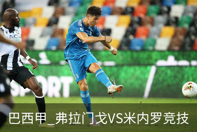 巴西甲 弗拉门戈VS米内罗竞技