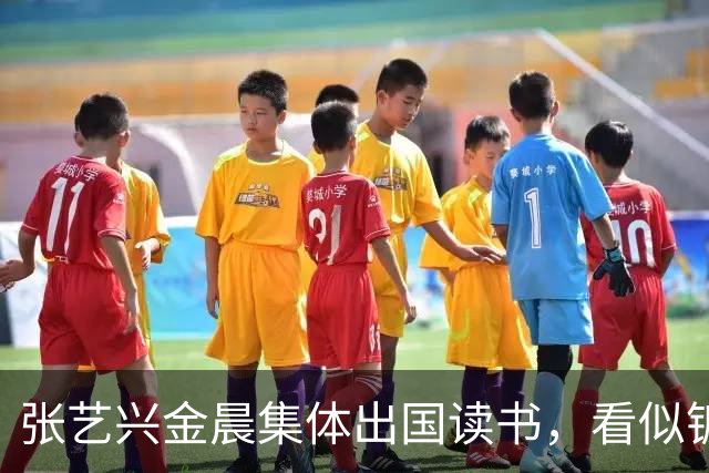 张艺兴金晨集体出国读书，看似镀金深造，其实就是没活干了