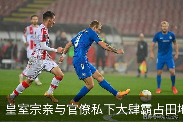 皇室宗亲与官僚私下大肆霸占田地还隐瞒不报，朝廷财政体制出现大危机