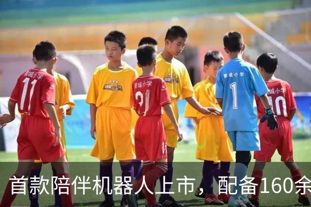首款陪伴机器人上市，配备160余种交互姿势，或成下一个万亿风口